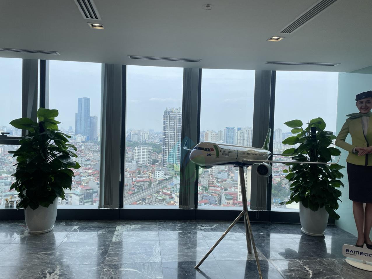 vạn niên thanh cột 5